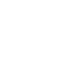 USP icon